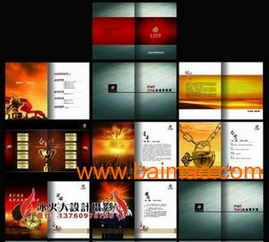 VIS品牌策劃與設計服務 從標志到畫冊、包裝的全面解決方案